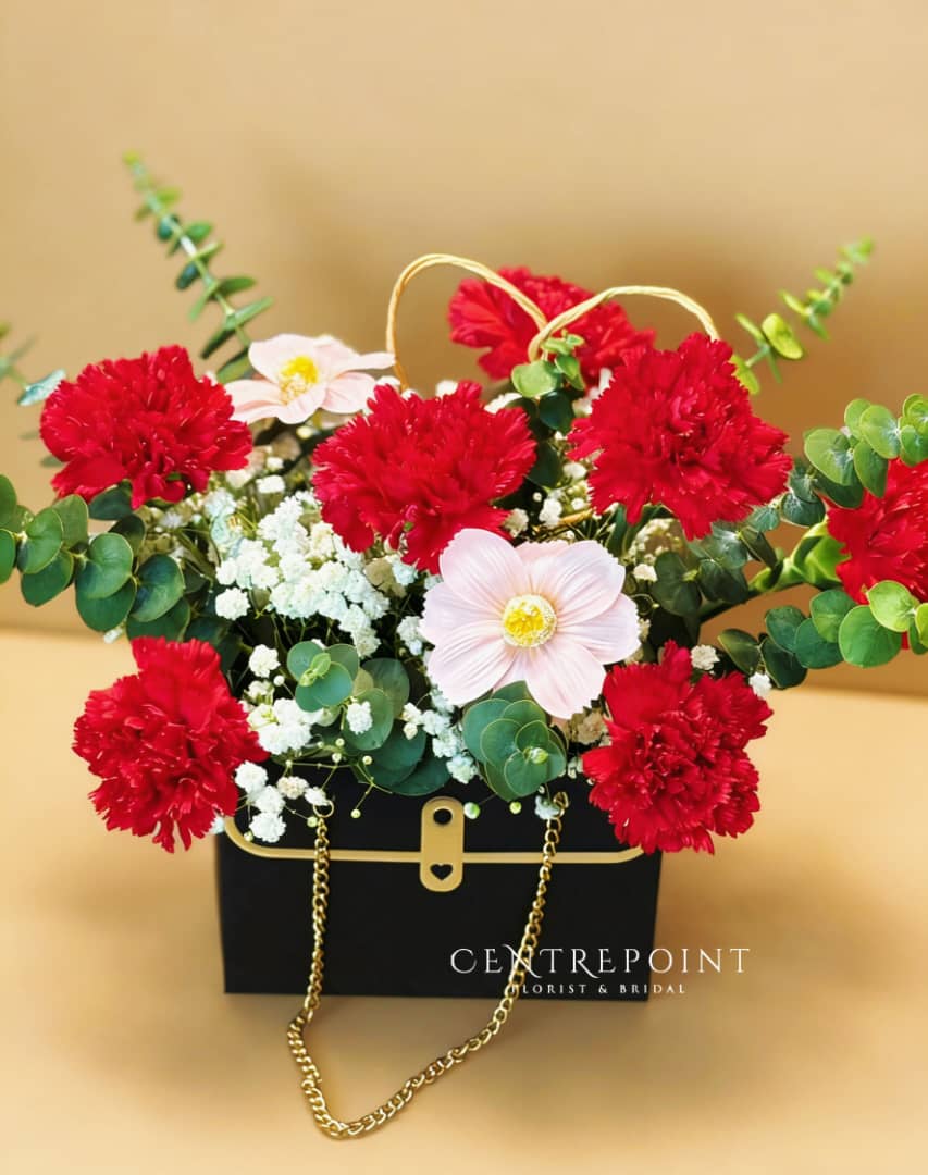 Clara (RM 110.00)