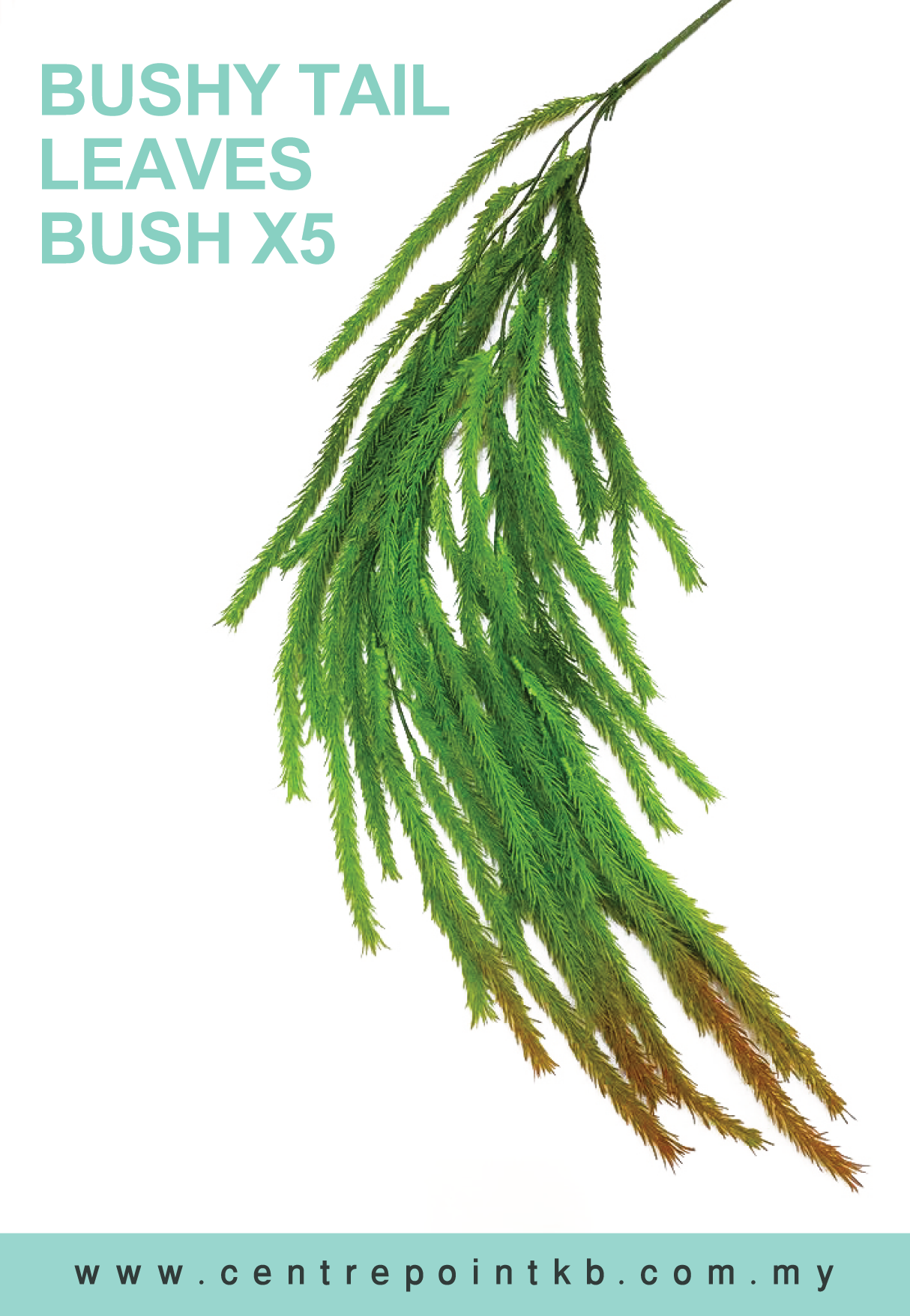 Bushy Tail Leaves Bush X5 (Pieces/Dozen)