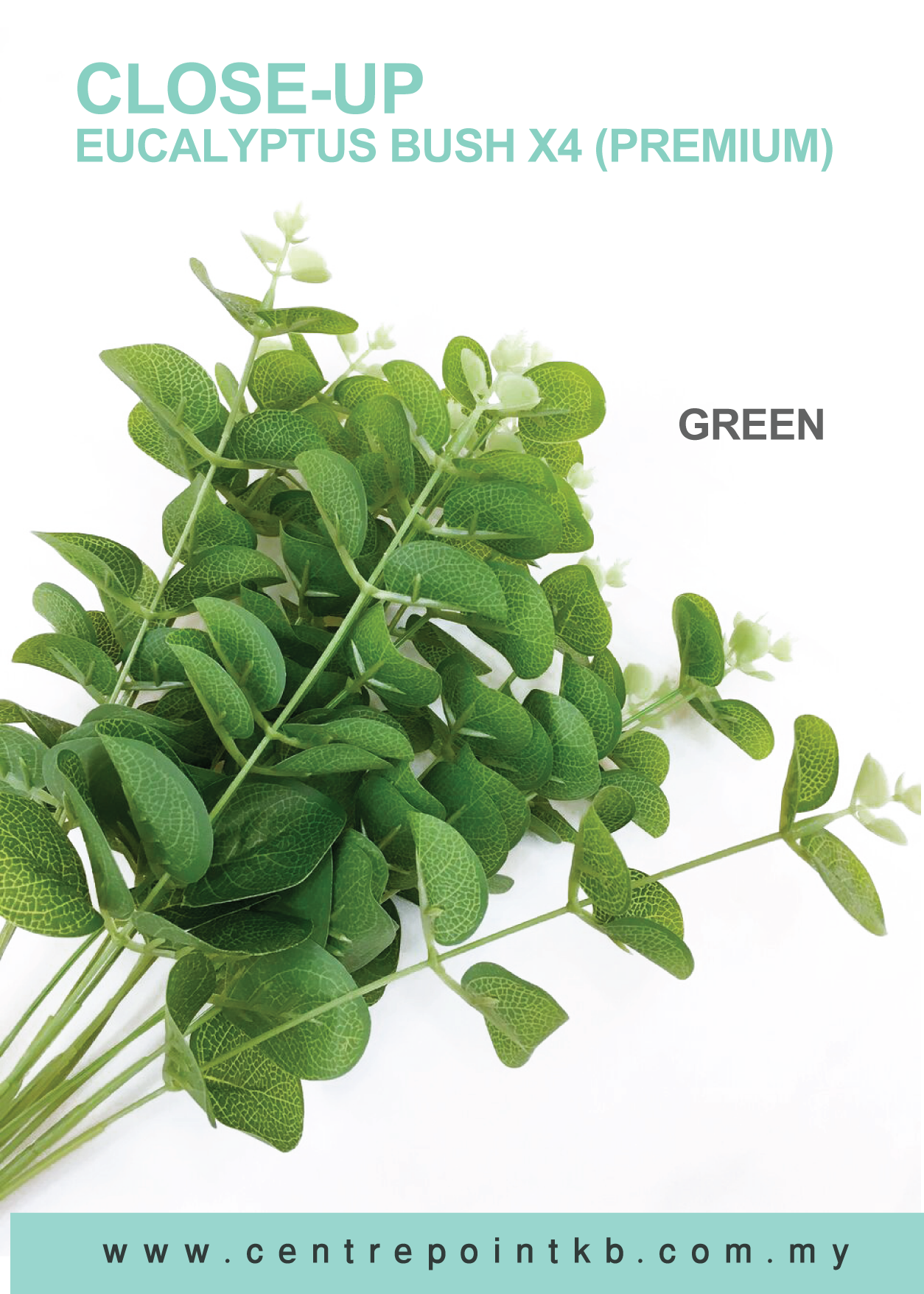 Eucalyptus Bush X4【Premium】 (Pieces/Dozen)