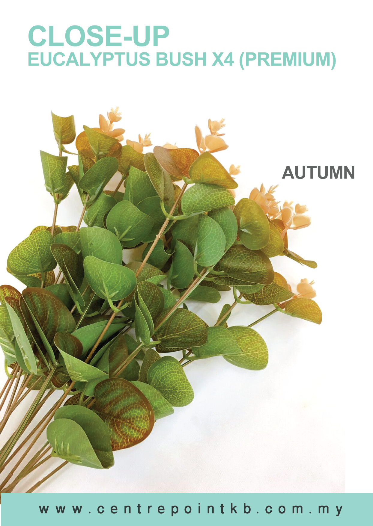 Eucalyptus Bush X4【Premium】 (Pieces/Dozen)