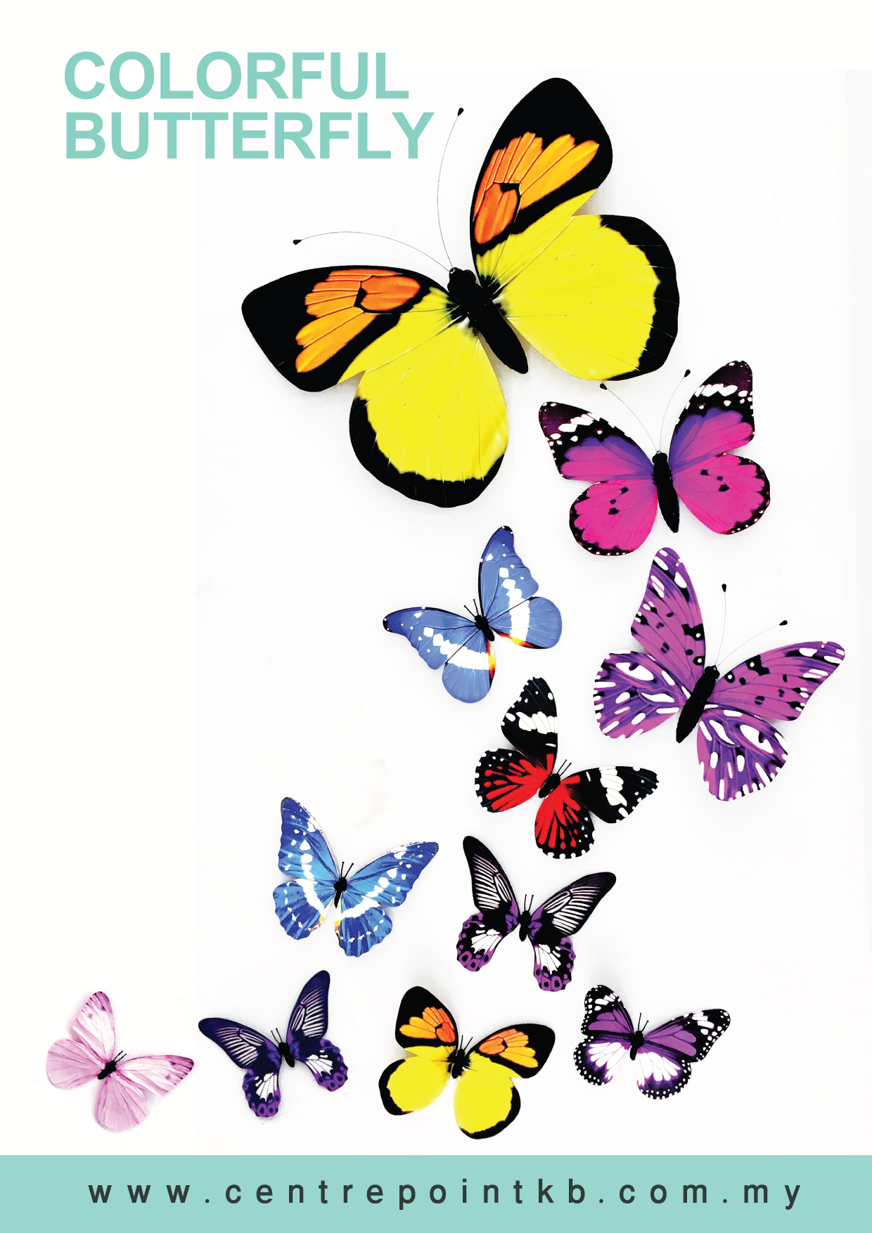 Colorful Butterfly (Pieces)