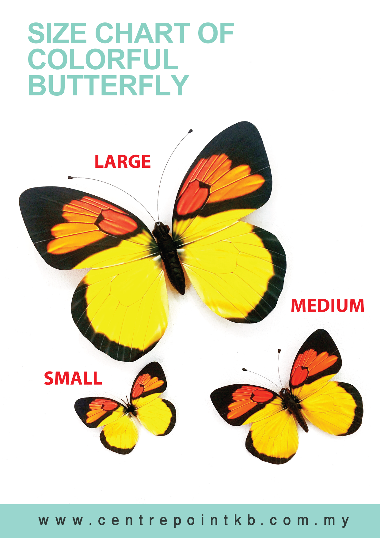 Colorful Butterfly (Pieces)