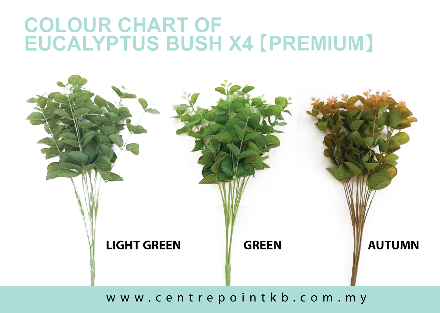 Eucalyptus Bush X4【Premium】 (Pieces/Dozen)