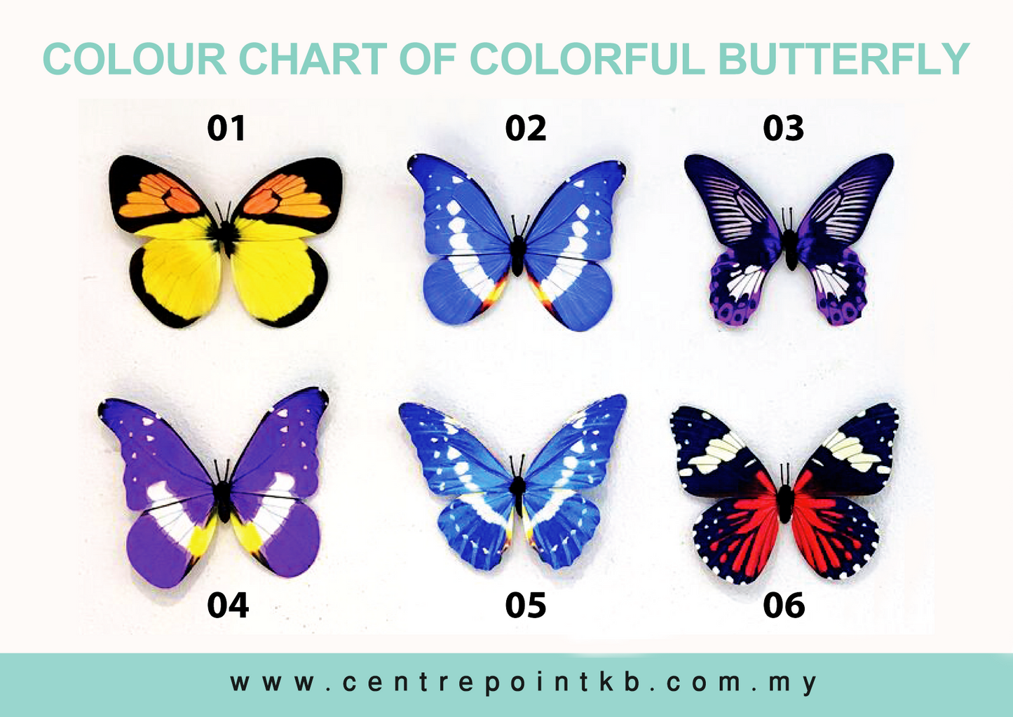 Colorful Butterfly (Pieces)