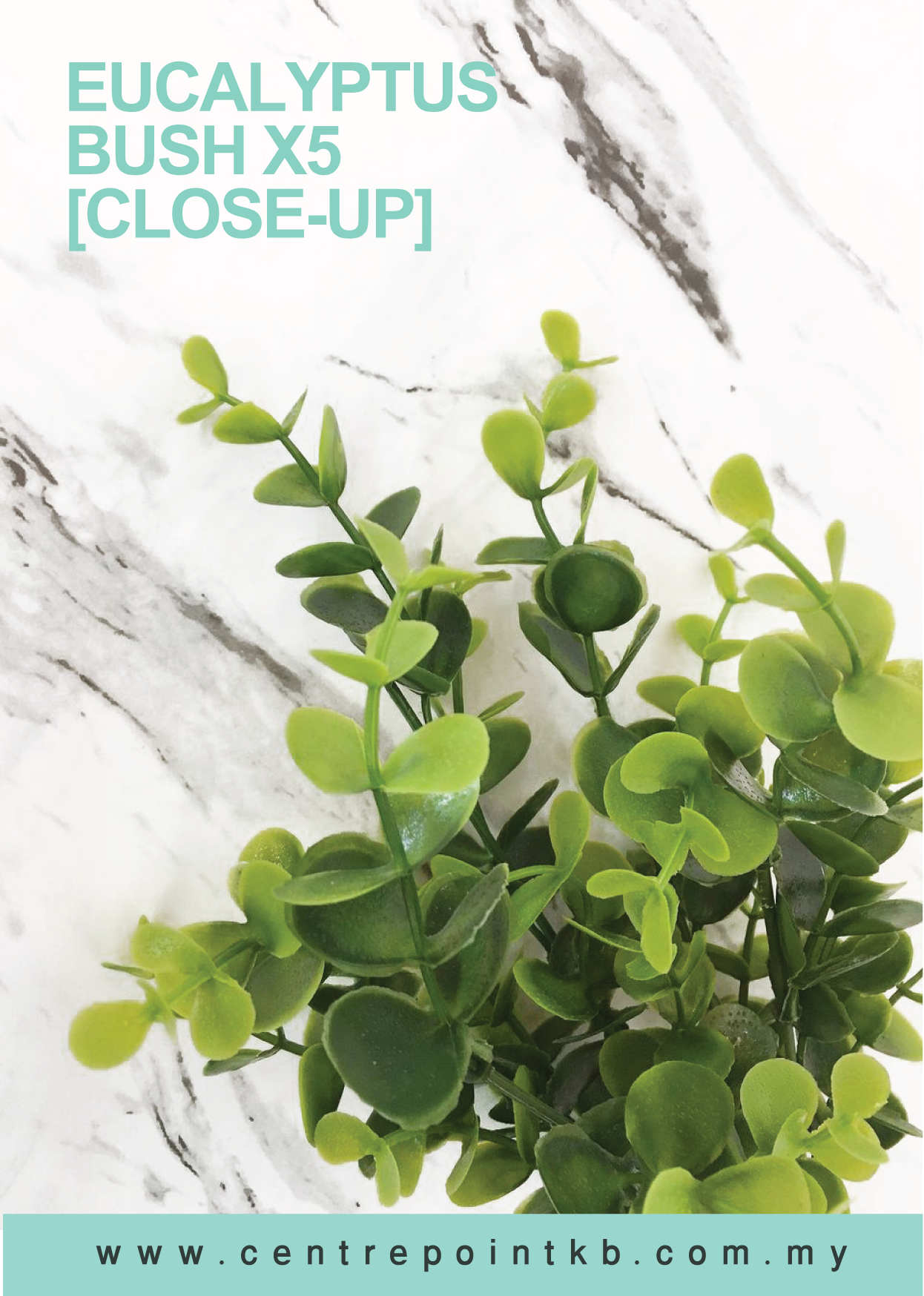 Eucalyptus Bush X5 (Pieces/Dozen)