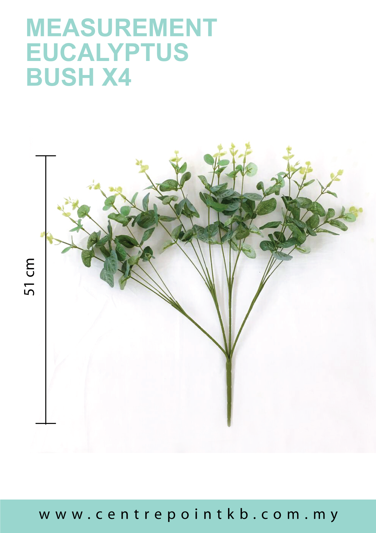 Eucalyptus Bush X4 (Pieces/Dozen)