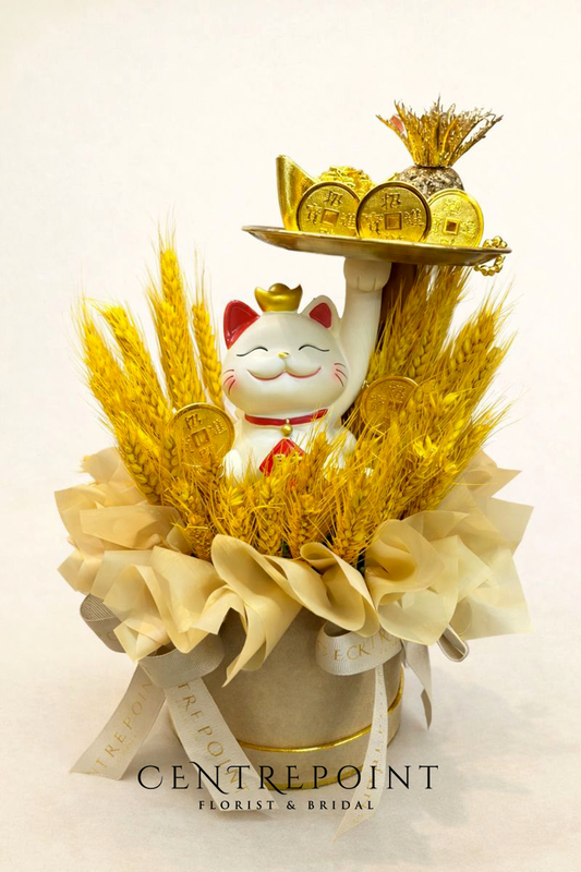 WHEAT GRASS Opening Box - PREMIUM FORTUNE CAT 010 (RM 180.00)