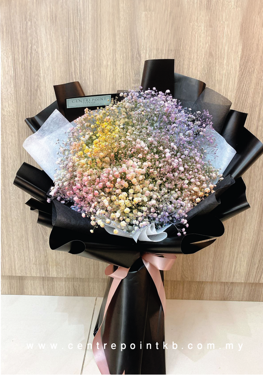 Baby Rainbow (RM 200.00)
