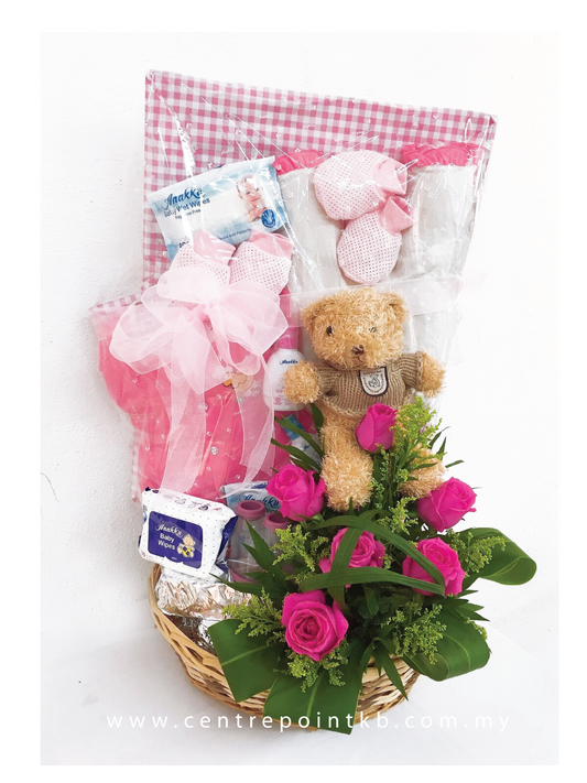 Newborn Baby Gift Set (RM 220.00)