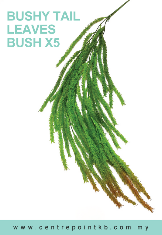 Bushy Tail Leaves Bush X5 (Pieces/Dozen)