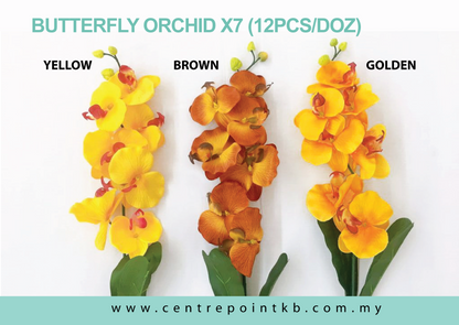 Butterfly Orchid X7 (12pcs/Dozen)