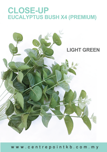 Eucalyptus Bush X4【Premium】 (Pieces/Dozen)