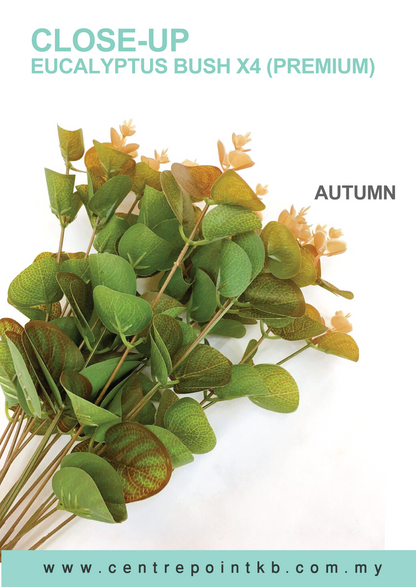Eucalyptus Bush X4【Premium】 (Pieces/Dozen)