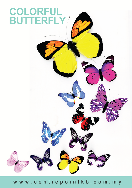 Colorful Butterfly (Pieces)
