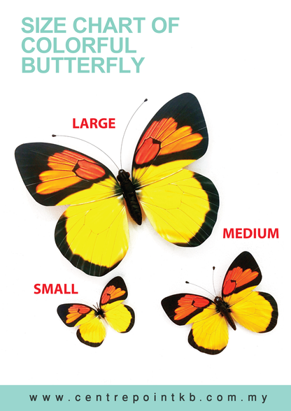 Colorful Butterfly (Pieces)