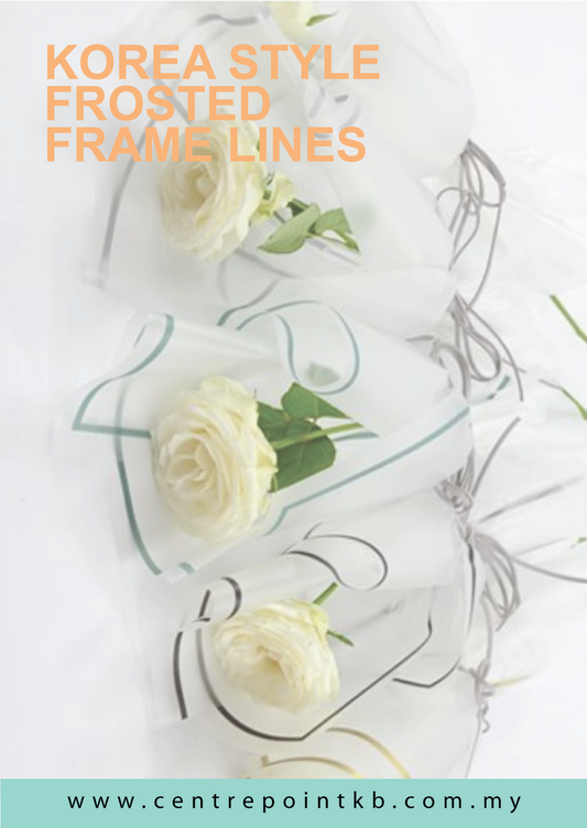 Korea Style Frosted Frame Lines (10 pcs/pkt)