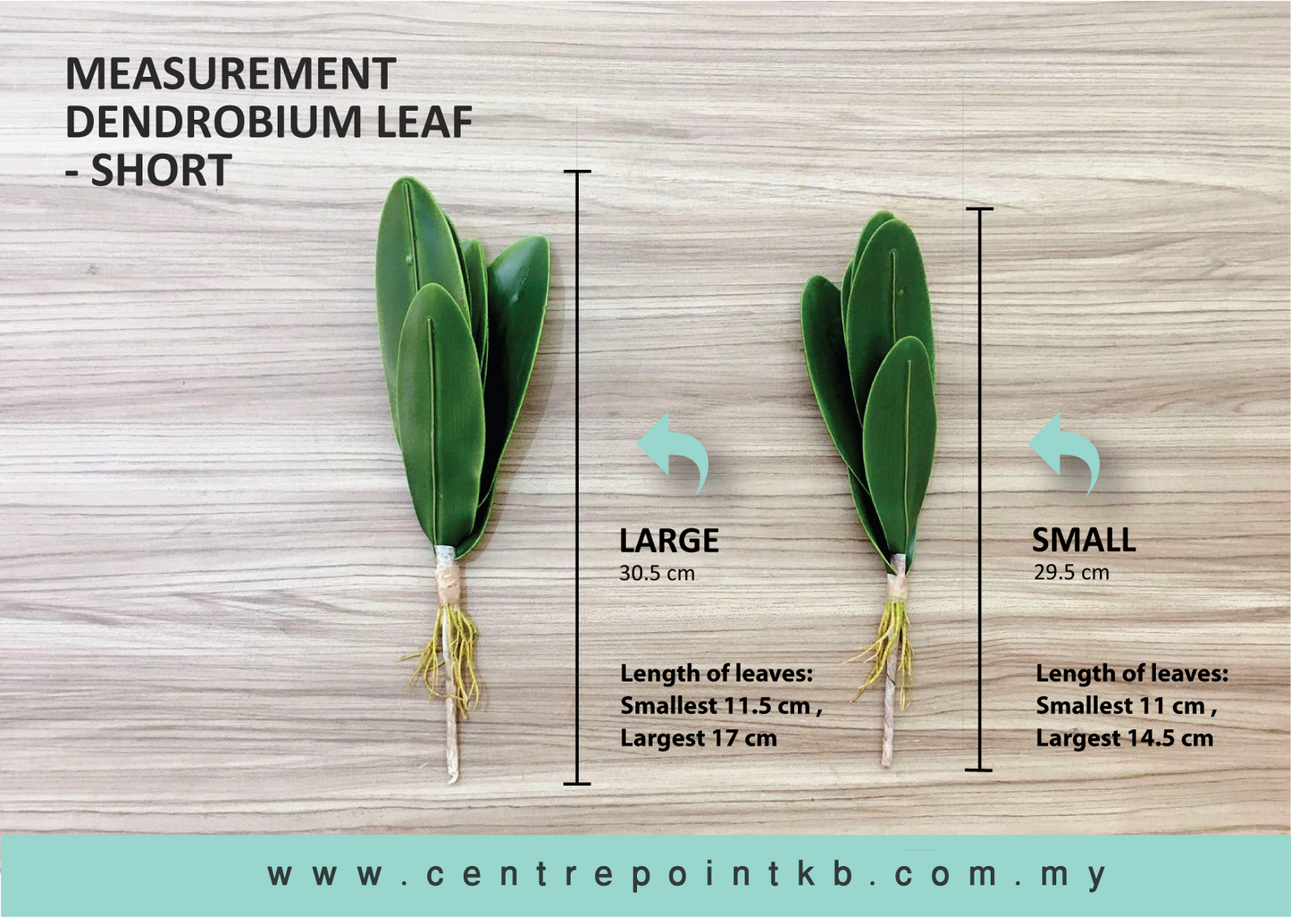 Dendrobium Leaf - Short  (Pieces)