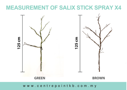 Salix Stick Spray X4 (Pieces/Dozen)