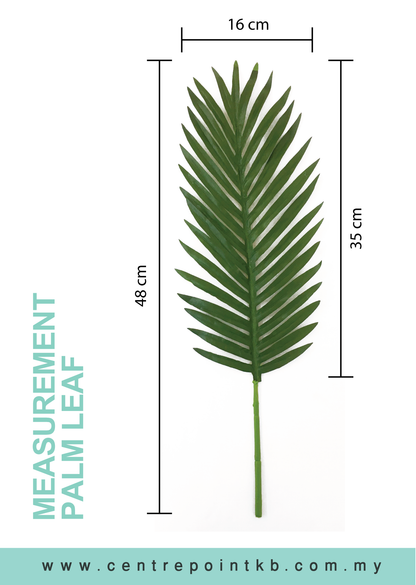 Palm Leaf (Pieces/Dozen)