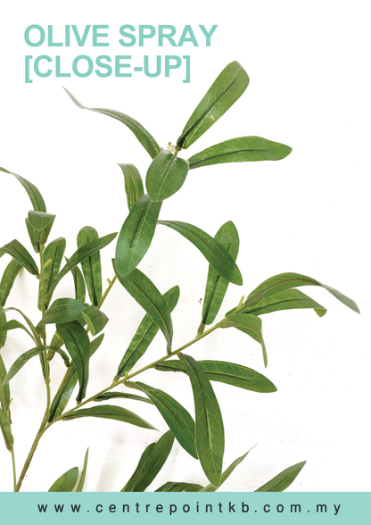 Olive Spray (Pieces/Dozen)