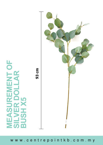 Silver Dollar Bush X5 (Pieces/Dozen)