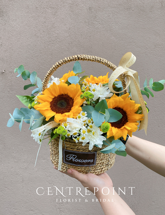 Sunfresh (RM 120.00)