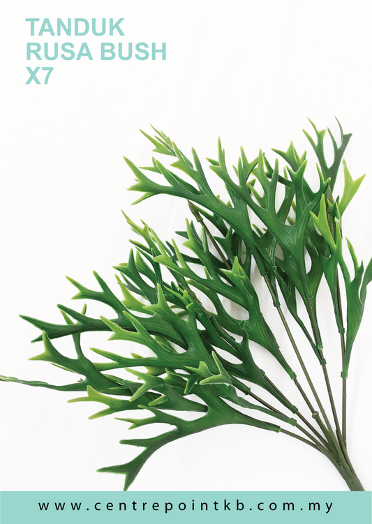 Tanduk Rusa Bush X5 (Pieces/Dozen)