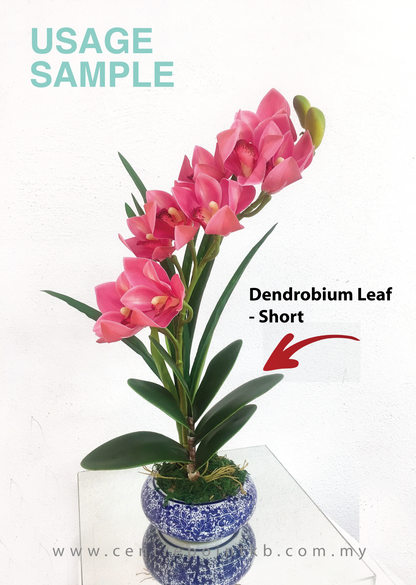 Dendrobium Leaf - Short  (Pieces)